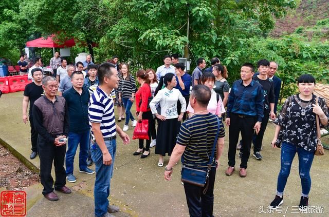 长沙南部有个蓝莓基地，果大微酸带甜味，初夏已进入盛果采摘期