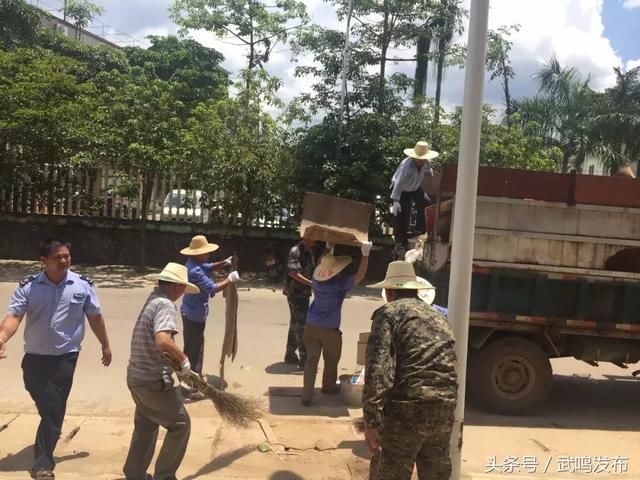 武鸣县陆斡镇人口普查_人口普查图片