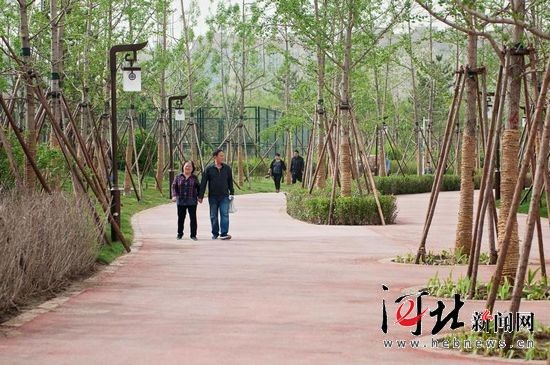 终于等到你!廊坊城南首座大公园今日迎客