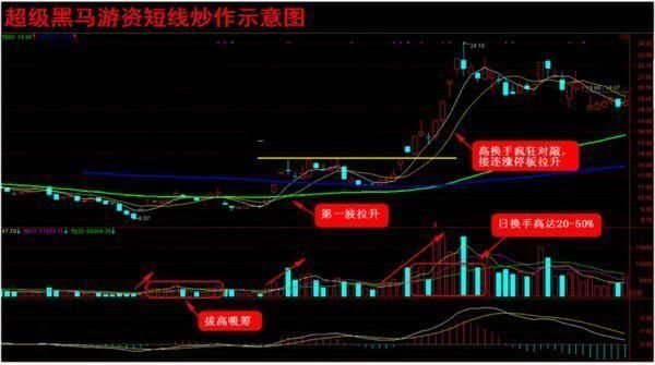 顶尖操盘手解析黑马生命法则，七点让你读懂中国股市！