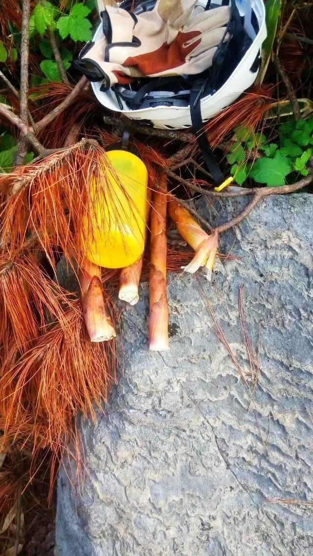 安徽洞穴探险队--探秘六百丈洞穴,发现神秘生物巢穴