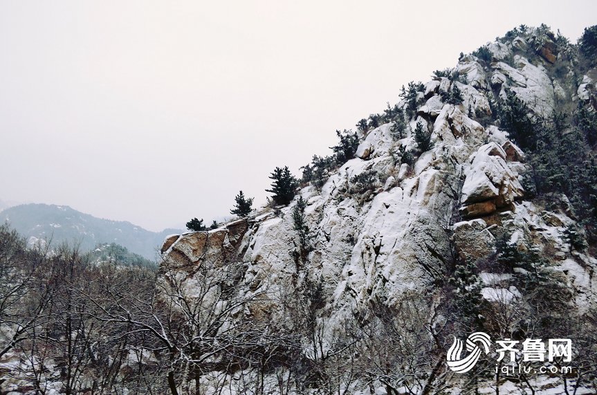 实拍:青岛崂山迎来降雪 银装素裹宛如仙境