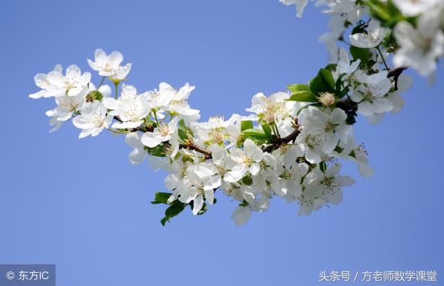 方老师信箱:孩子初一数学成绩不好?有没有诀窍