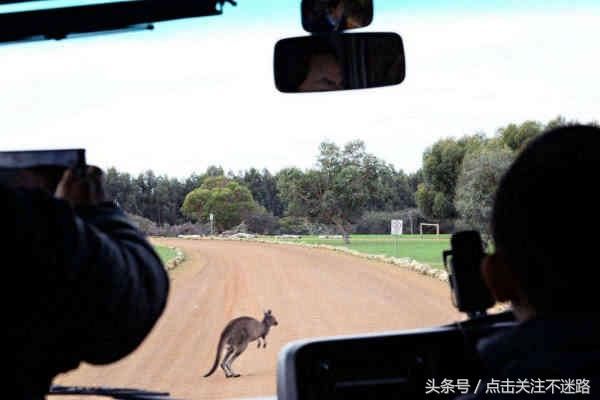 日本的马路，中国的马路，澳洲的马路，美国的马路，差距一目了然