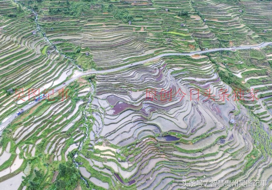 多彩贵州,从江苗族陡坡造田上万亩,全长二十五公里太壮观了