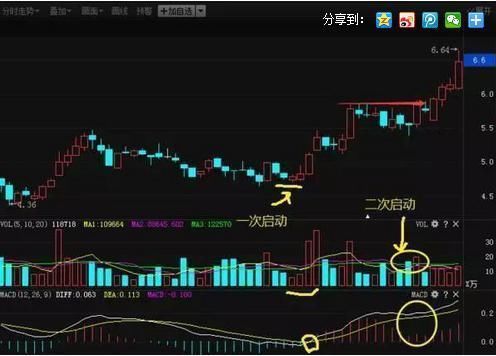 一个股民坚持的选股原则，散户牢记10点选出的都是好股