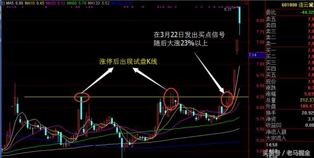 技术科普文：牛股的基本特征和基因表象