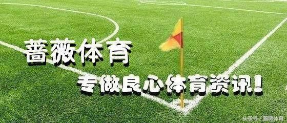 为什么腾讯阿里财报后 反而京东和网易的股价