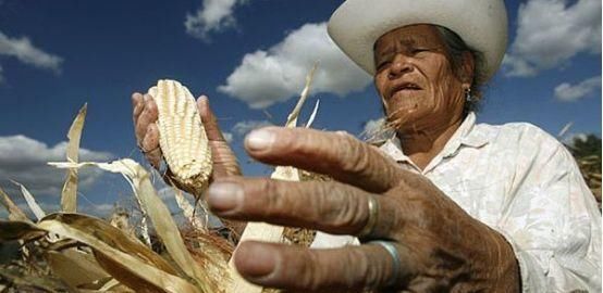 全国人口300万以下城市