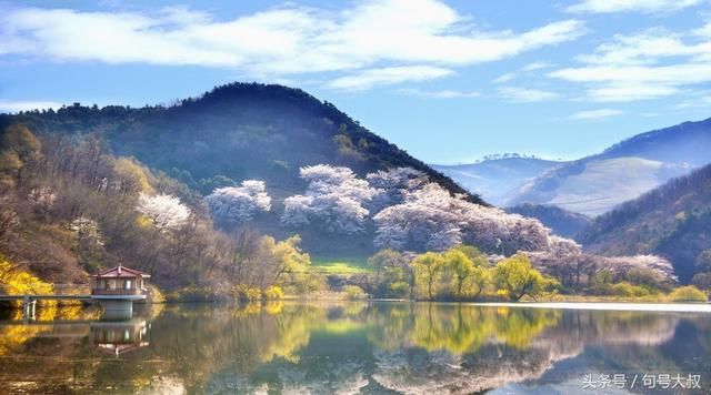 不敢表白的暗恋,终究是一场空