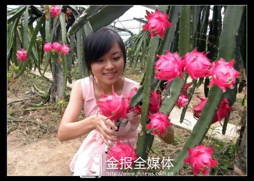 “五一”小长假 带你遇见水果味的初夏