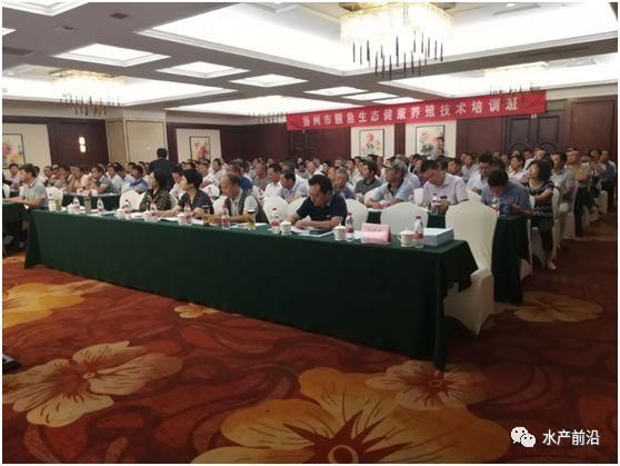 干货扬州鳜鱼生态健康养殖技术培训详细笔记