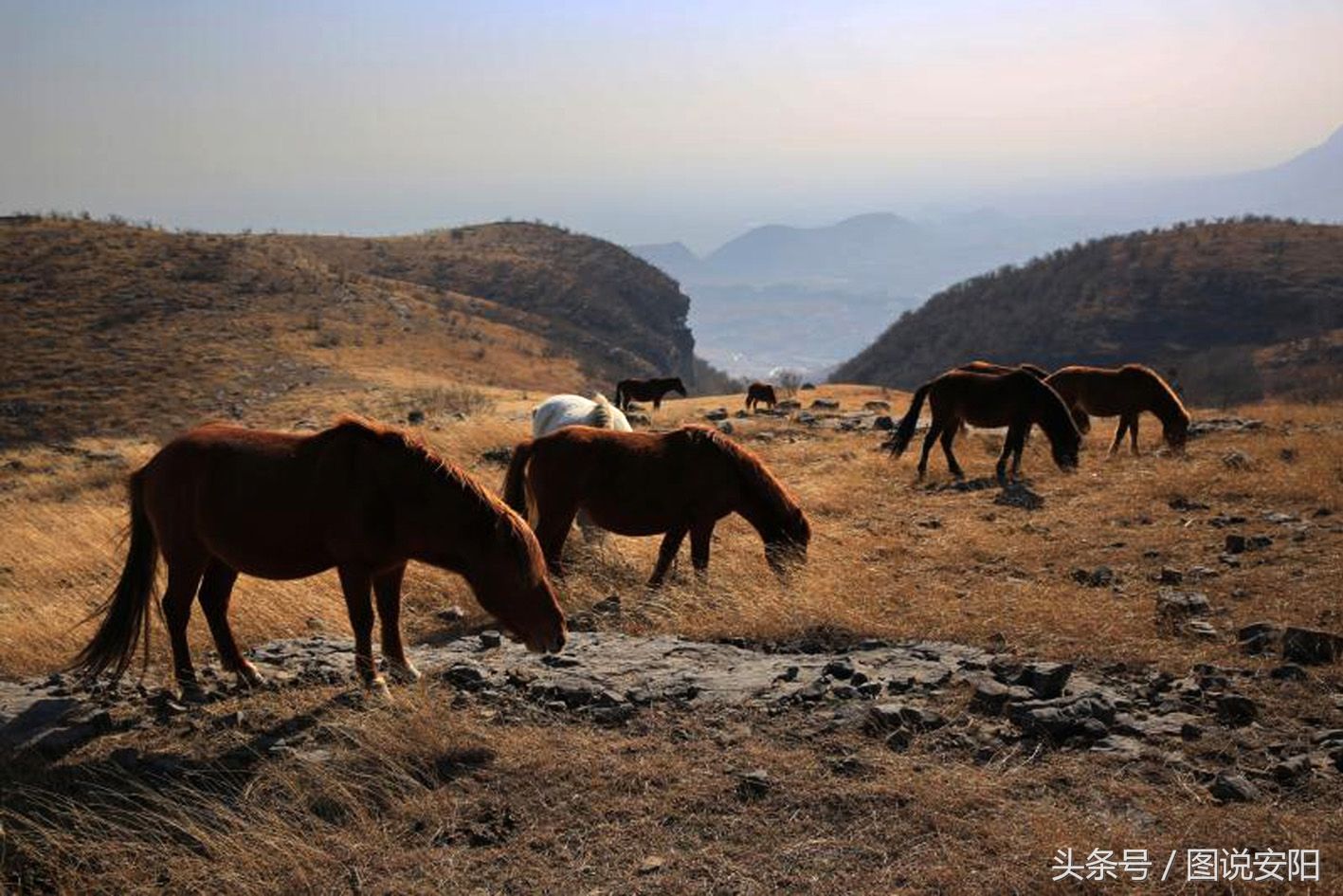 河南淇县:旅游帮扶贫困户 书记成了“店小二”