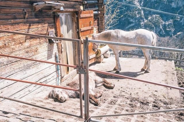 小镇以瀑布闻名：每年300万游客前来，当地人懒得开店赚钱