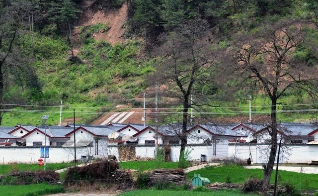 明年过后,农村宅基地可“有偿退出”,参与至少可拿10万元