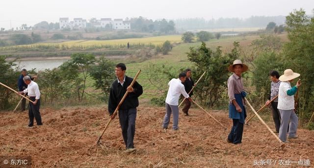 农民种地越来越不赚钱，是什么导致农民日子为什么这么艰难？