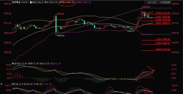 今日白银现货分柝
