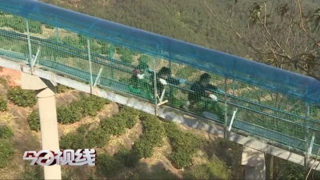 春节去哪里玩？莆田这条玻璃滑道开放了