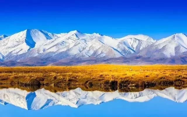 2018西藏最美旅行时间表,一定要收好!