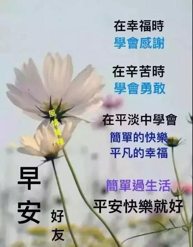 最新早晨好鞭炮动态很可爱早晨好v鞭炮语暖图片包表情动态表情图片