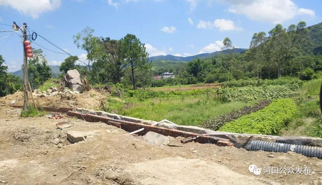 陆河县河口镇全域推进乡村振兴工作简报第一期