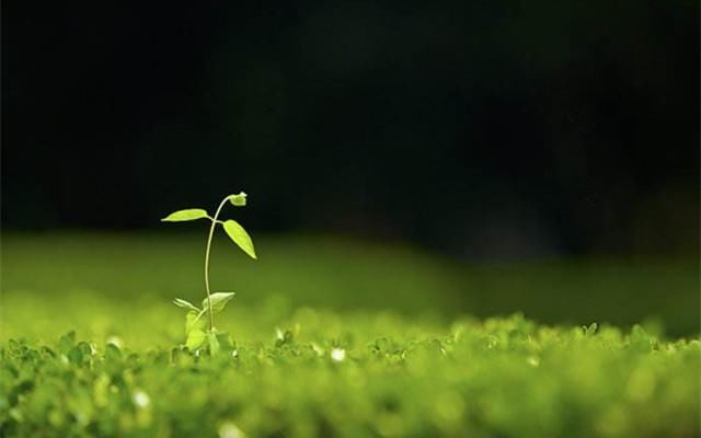 心软时,什么都可以原谅;心硬时,老子就是全世界