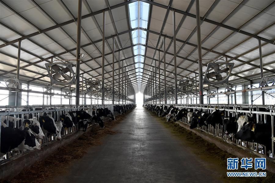 河南平顶山:现代生态循环农业助力乡村振兴