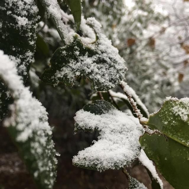 白色武功之龙山村-发云界-金顶-索道