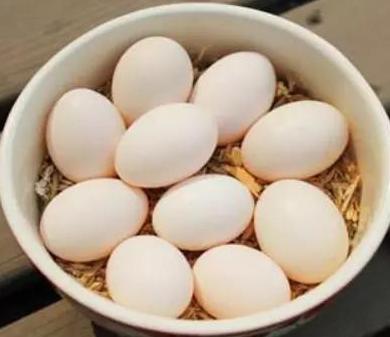 用醋泡鸡蛋不仅可以排毒养颜, 延年益寿也不在