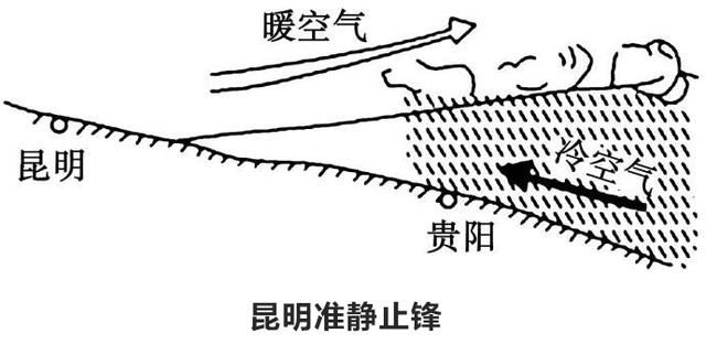 海鸥去哪儿？原来昆明不是红嘴鸥的老家