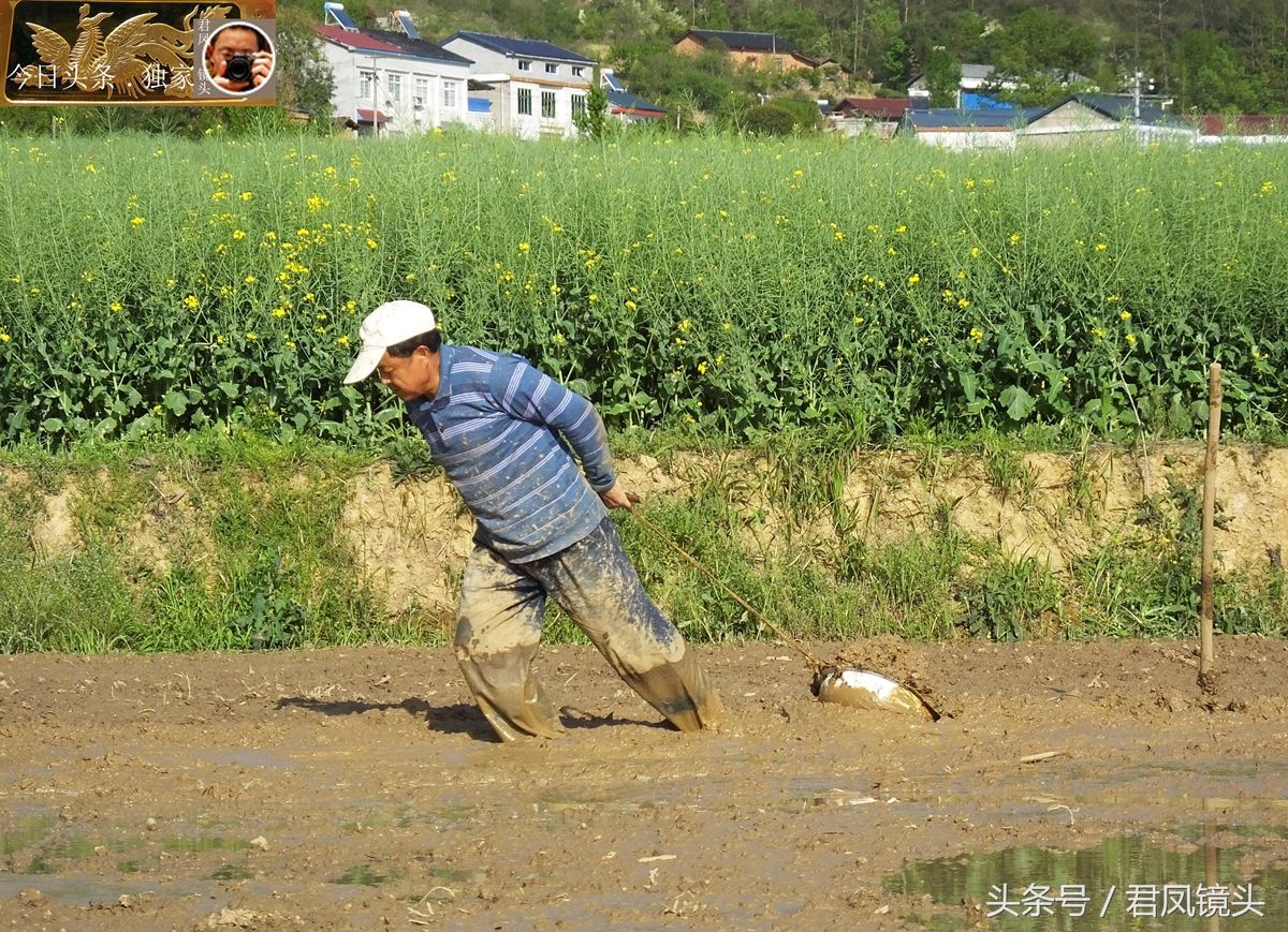 湖北宜昌:乡村,春光中,辛勤劳作的农民!