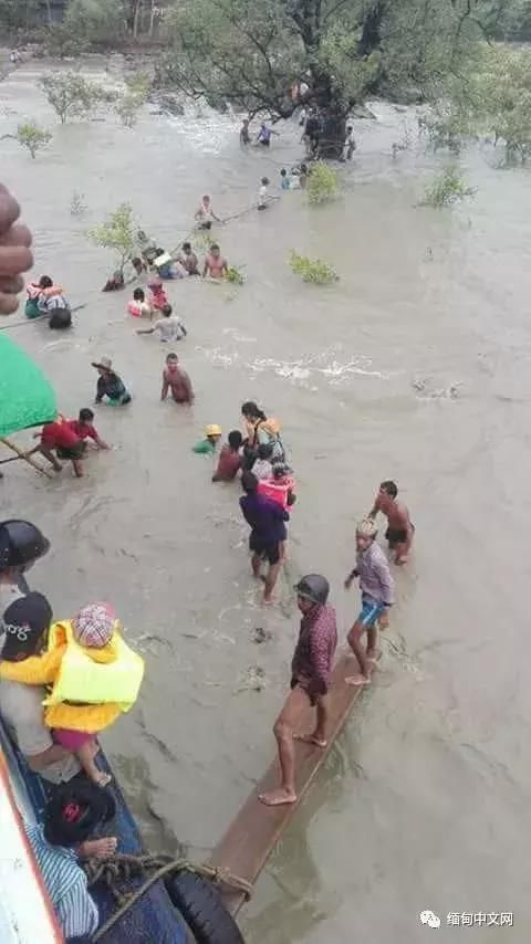 大风大雨太猛烈了！雨后的缅甸很受伤！