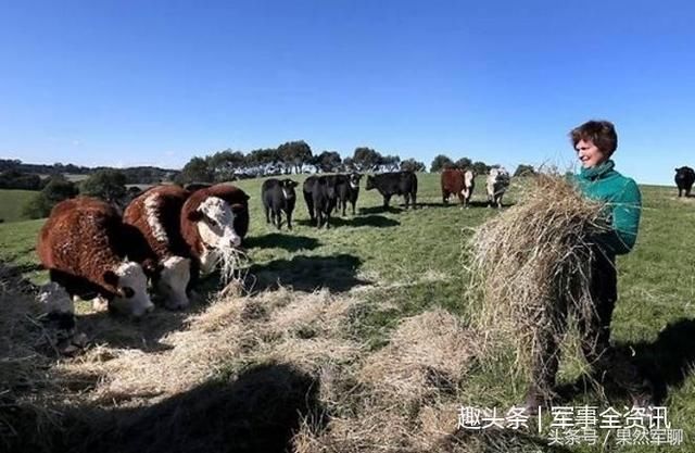 澳大利亚出口牛肉再出问题，中国大量减少订单：买不买我说了算！