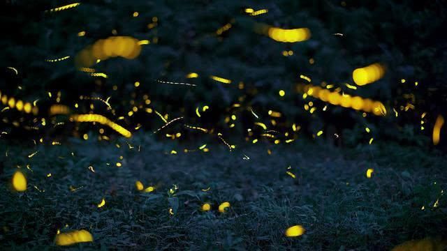 媲美九寨沟!来南京最美古刹,感受绝色美景,无数人心中的天堂!