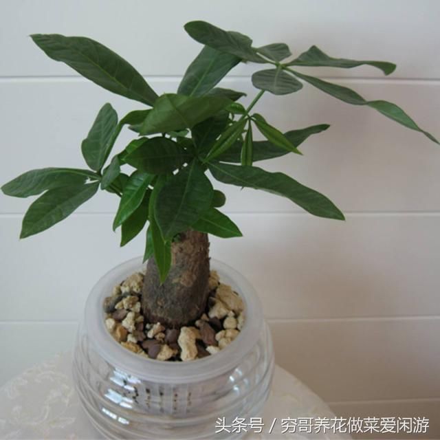 t01ebead3156f172a77.jpg