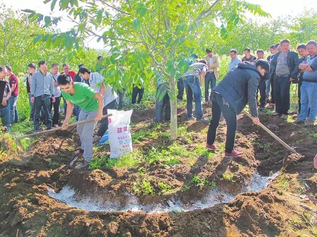 春节化肥价格涨不停，农民叫苦连天！