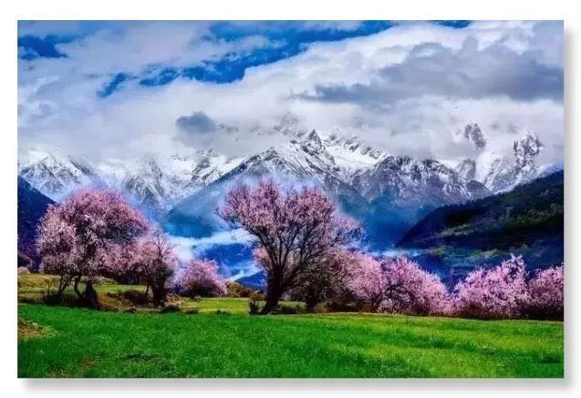 是什么在撩拨你的西藏情怀!