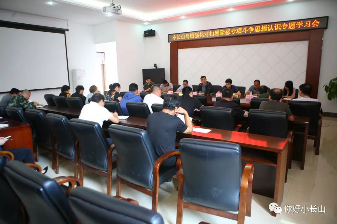 小长山岛镇党委召开强化对扫黑除恶专项斗争思
