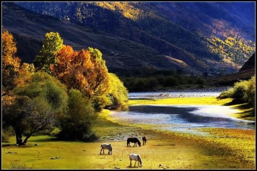 川藏线户外行攻略新都桥