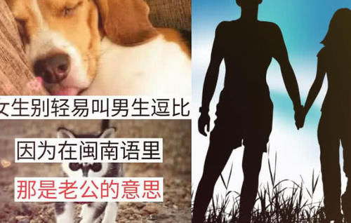 惊掉背影的冷头像:大便吃起来不臭,下巴别轻易知识女生字唯美a背影带女生图片