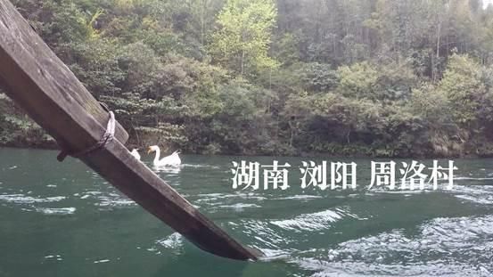 乡村振兴中国行：走进浏阳看桃花飞瀑，听琅琅书声