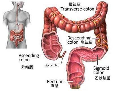 80%的大肠癌发现时已是晚期，哪些症状“暗示”大肠癌？