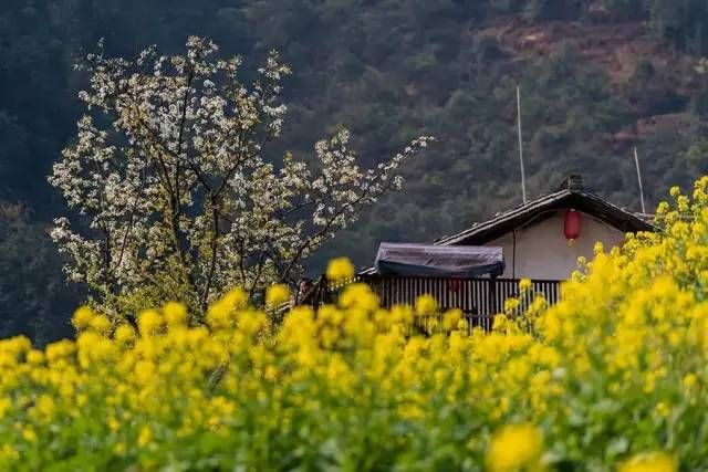 3月国内外旅行地推荐，不要辜负大好春光啦!