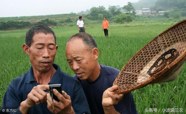 年过完了，走亲访友也变成了敷衍，老农说出了其中的四个原因