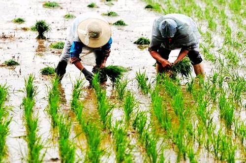 中国男人的“头等大事”，如何催生为千亿规模的超级生意？