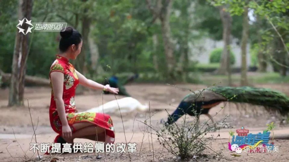 海南旅游三十年静美定安，祥和家园!