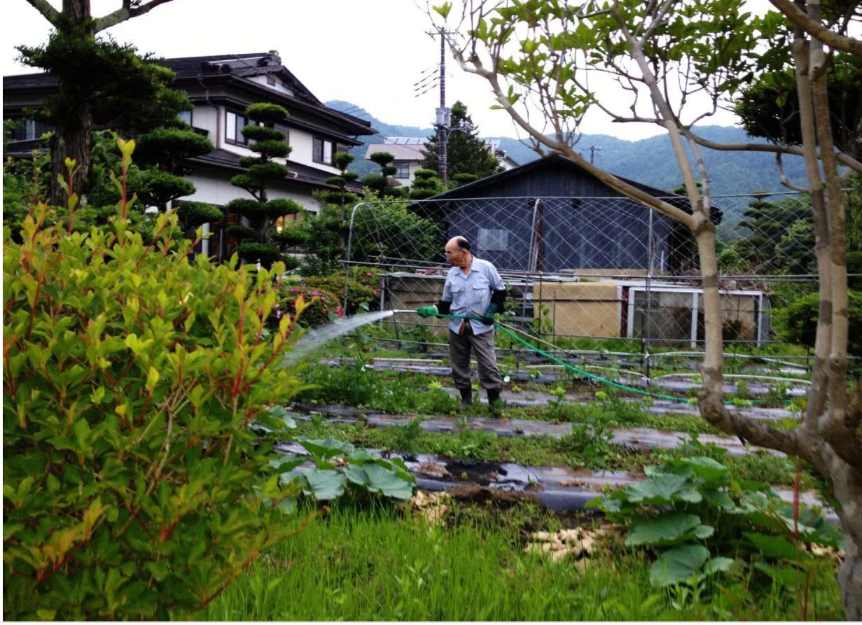 实拍日本农村 农民生活水平高 家家户户都有车