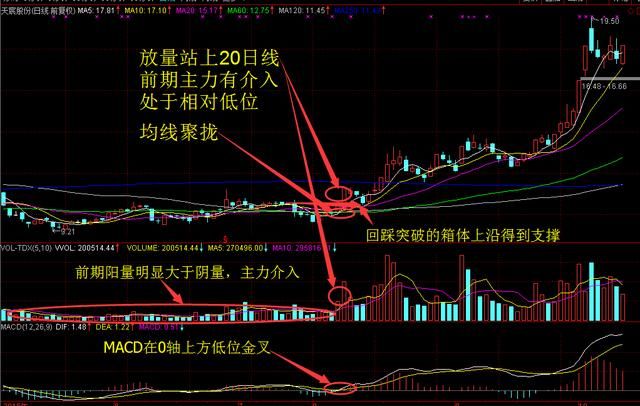 中国股市盈利最好的一类人:炒股多年只看一根均线，从未被超越