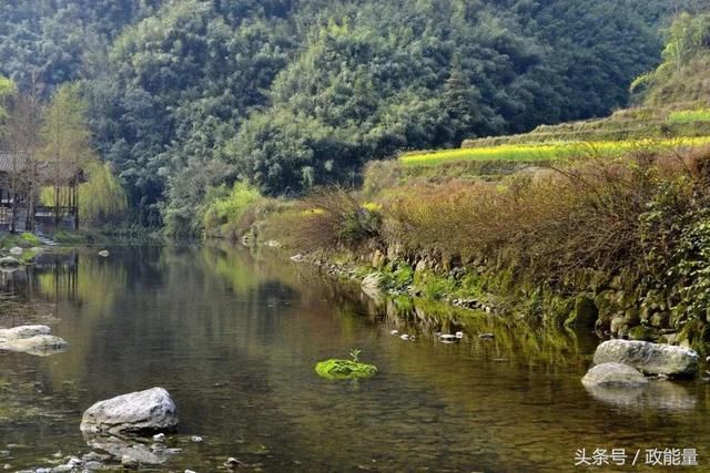 这样的“乡村振兴”，你敢说不期待？