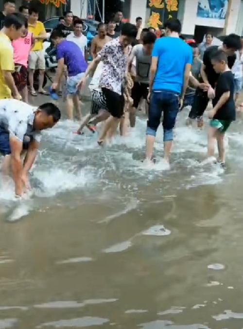 大雨刚过 市民纷纷大街上忙抓鱼